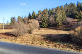 Land / 4248 m2 / - Oščadnica