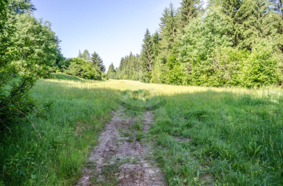 Pozemok na chatu, /1590m2/, Čadca - Raková