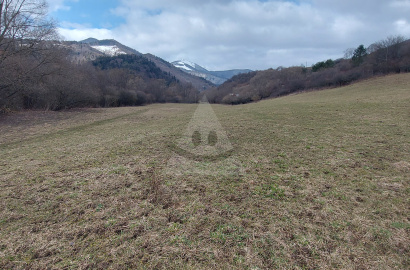 Land for sale /8618 m2/, Párnica