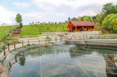 Recreational land with a pond / 2953 m2 / Žilina - Dolná Tižina