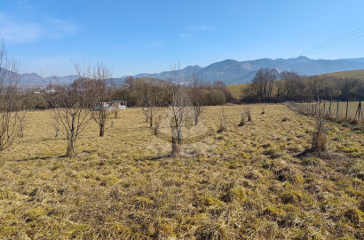 Land with a recreational cottage /11 271 m2/, cadastral area Strečno